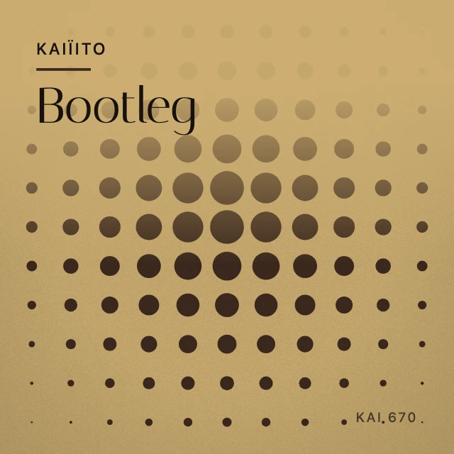 Pochette de Bootleg