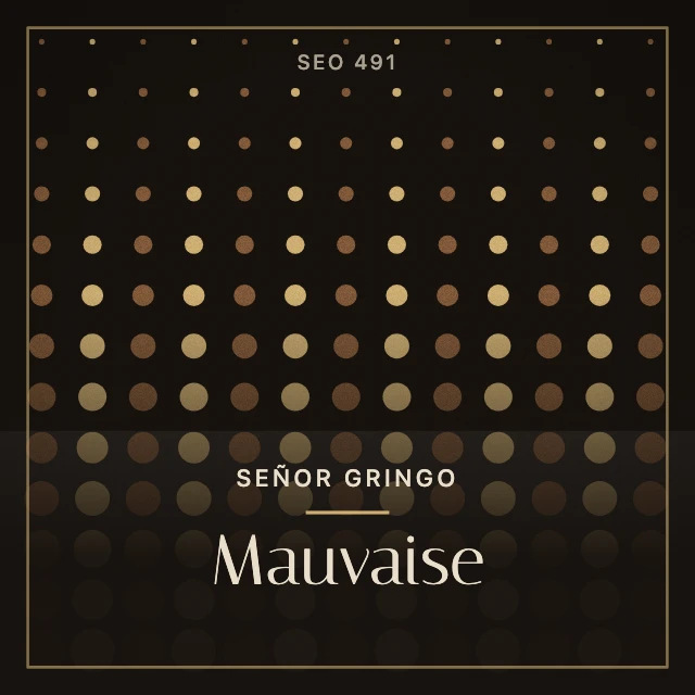 Pochette de Mauvaise